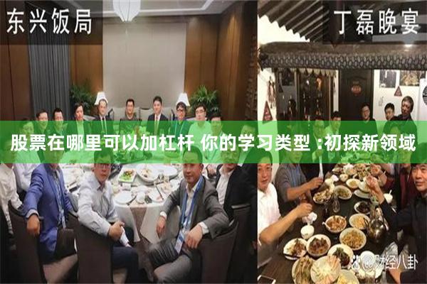 股票在哪里可以加杠杆 你的学习类型 :初探新领域