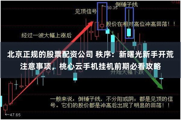 北京正规的股票配资公司 秩序：新曙光新手开荒注意事项，桃心云手机挂机前期必看攻略