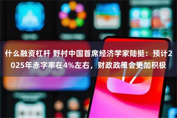 什么融资杠杆 野村中国首席经济学家陆挺：预计2025年赤字率在4%左右，财政政策会更加积极