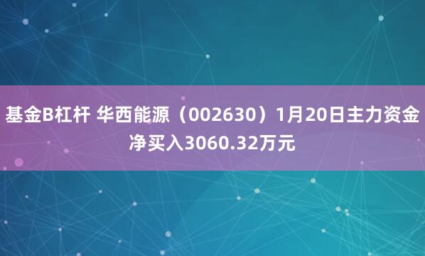 基金B杠杆 华西能源（002630）1月20日主力资金净买入3060.32万元