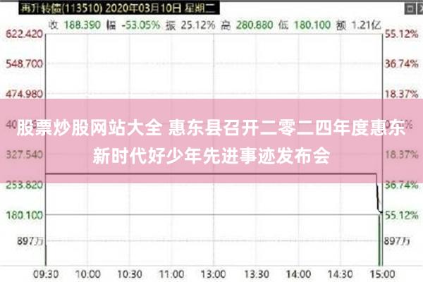 股票炒股网站大全 惠东县召开二零二四年度惠东新时代好少年先进事迹发布会